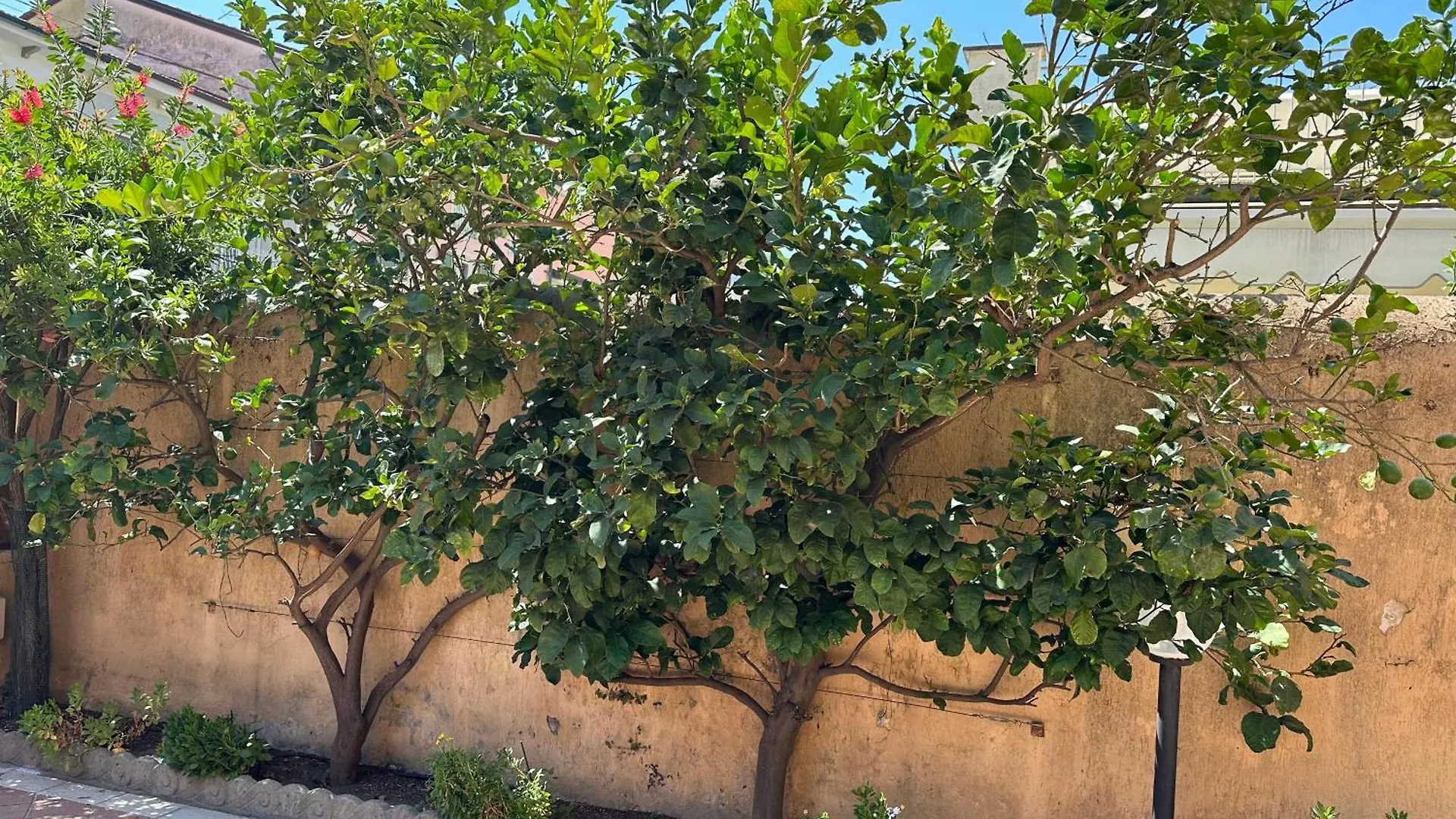Appartamento Casachiara Viareggio